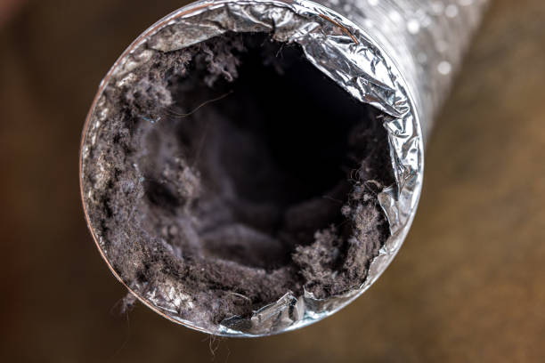 Best Home Air Vent Cleaning  in Sutherland, NE