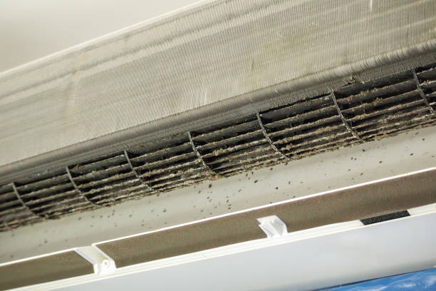 Best Best Air Duct Cleaning Company  in Sutherland, NE